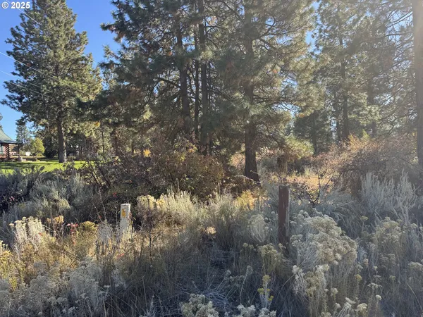 a backyard of a house with a yard and outdoor seating