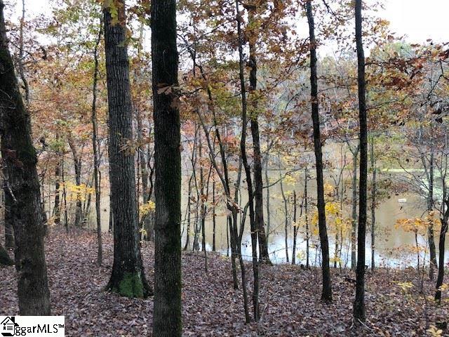 Mt Airy Church Road Easley, SC 29642 - Photo 1 of 6