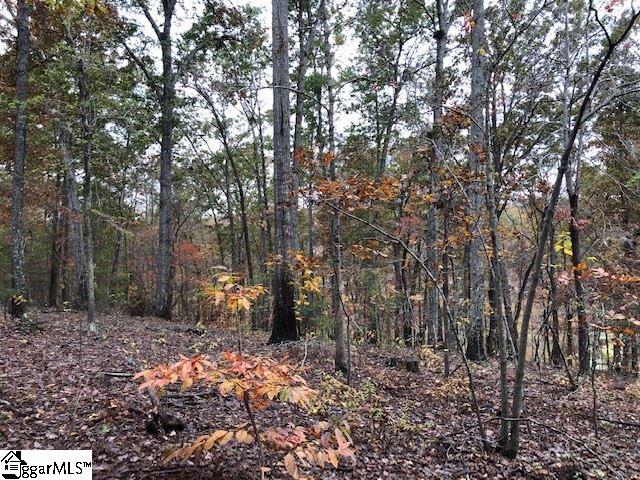 Mt Airy Church Road Easley, SC 29642 - Photo 2 of 6