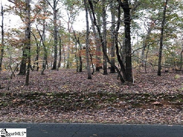Mt Airy Church Road Easley, SC 29642 - Photo 3 of 6
