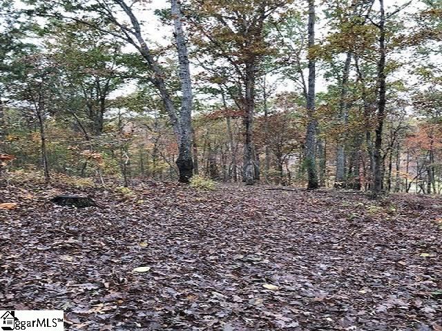 Mt Airy Church Road Easley, SC 29642 - Photo 5 of 6