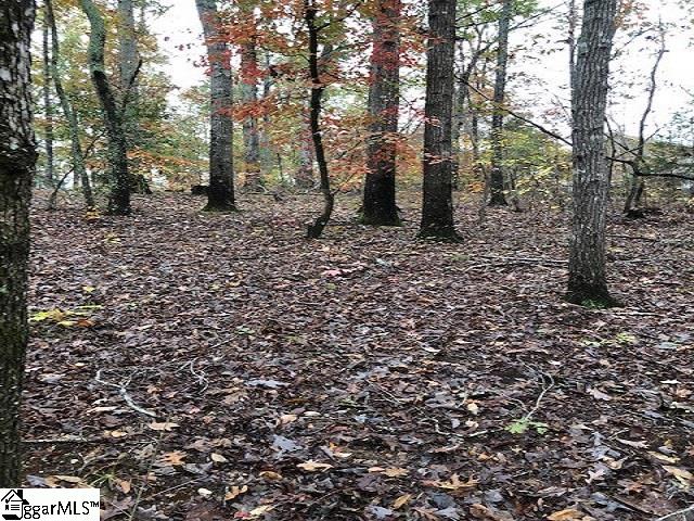 Mt Airy Church Road Easley, SC 29642 - Photo 6 of 6