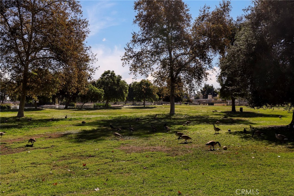 6545 Reseda Boulevard, Unit 19 Reseda, CA 91335 - Photo 34 of 35 Reseda Park