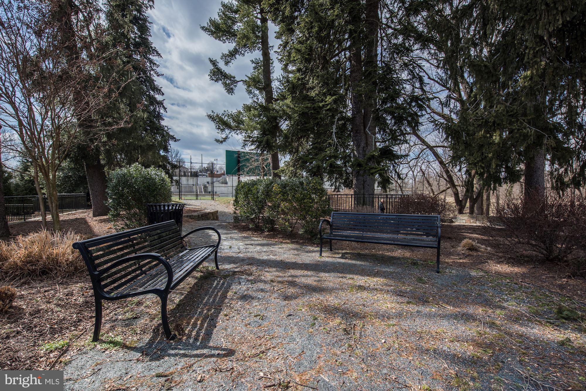 4513 Hoban Road Northwest Washington, DC 20007 - Photo 24 of 29 a view of bench sitting in middle of yard