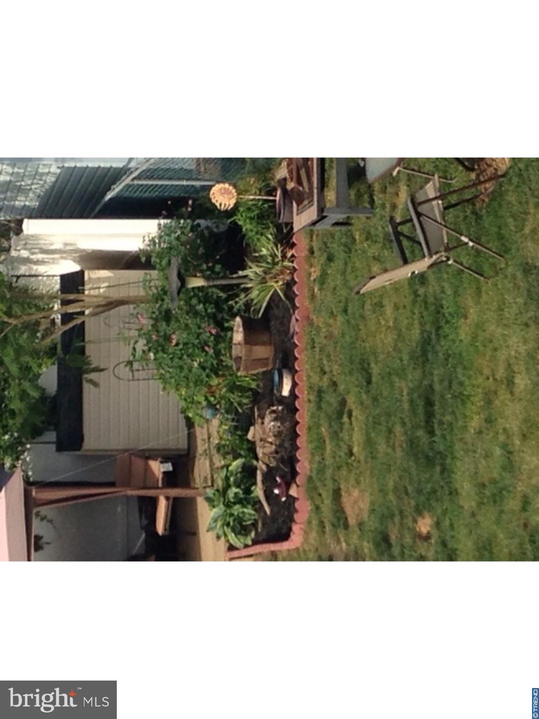 3121 Holly Road Philadelphia, PA 19154 - Photo 16 of 18 Back Yard