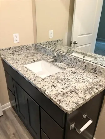 a bathroom with a sink a shower and a mirror