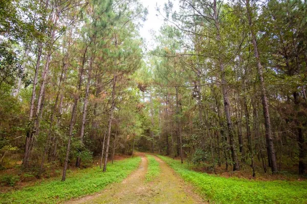 $1,450,000 | 22550 Farm To Market 149, Montgomery, TX 77356