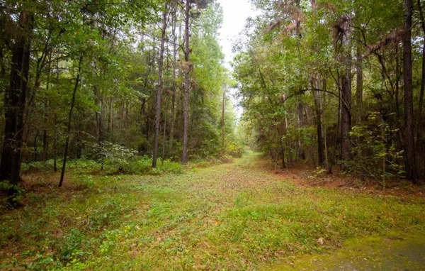 $1,450,000 | 22550 Farm To Market 149, Montgomery, TX 77356