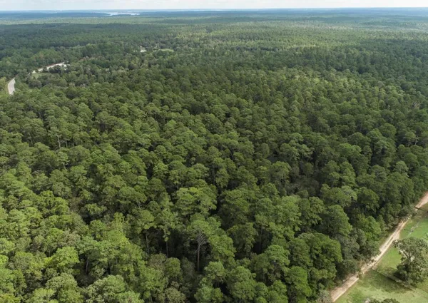 $1,450,000 | 22550 Farm To Market 149, Montgomery, TX 77356