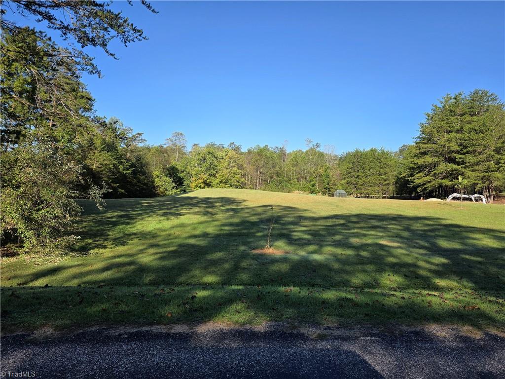 1198 Jackson Road, Unit 1 Westfield, NC 27053 - Photo 2 of 9 Gallery Image 2