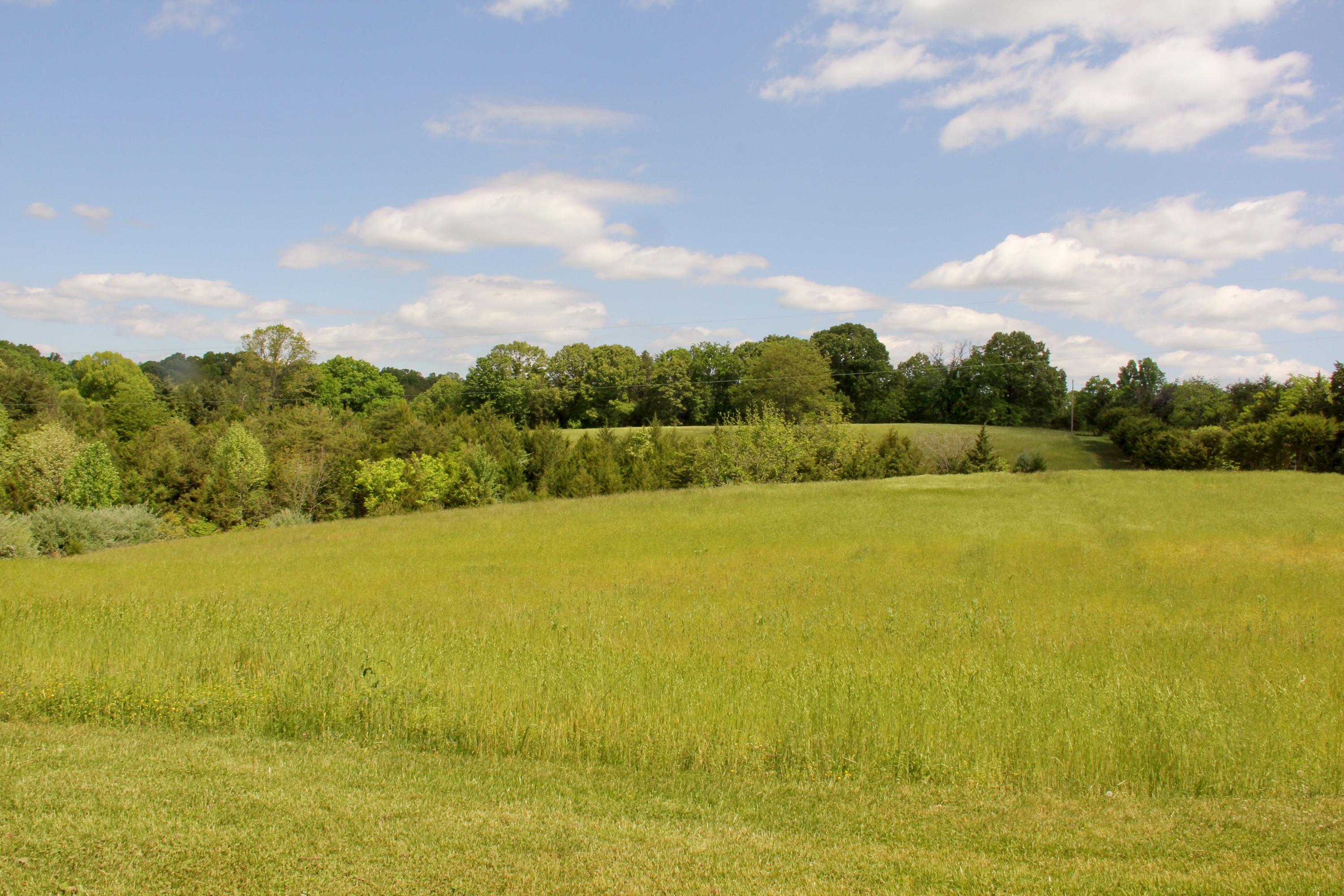 2880 Bells Mill Road Goode, VA 24556 - Photo 112 of 128 IMG_0882