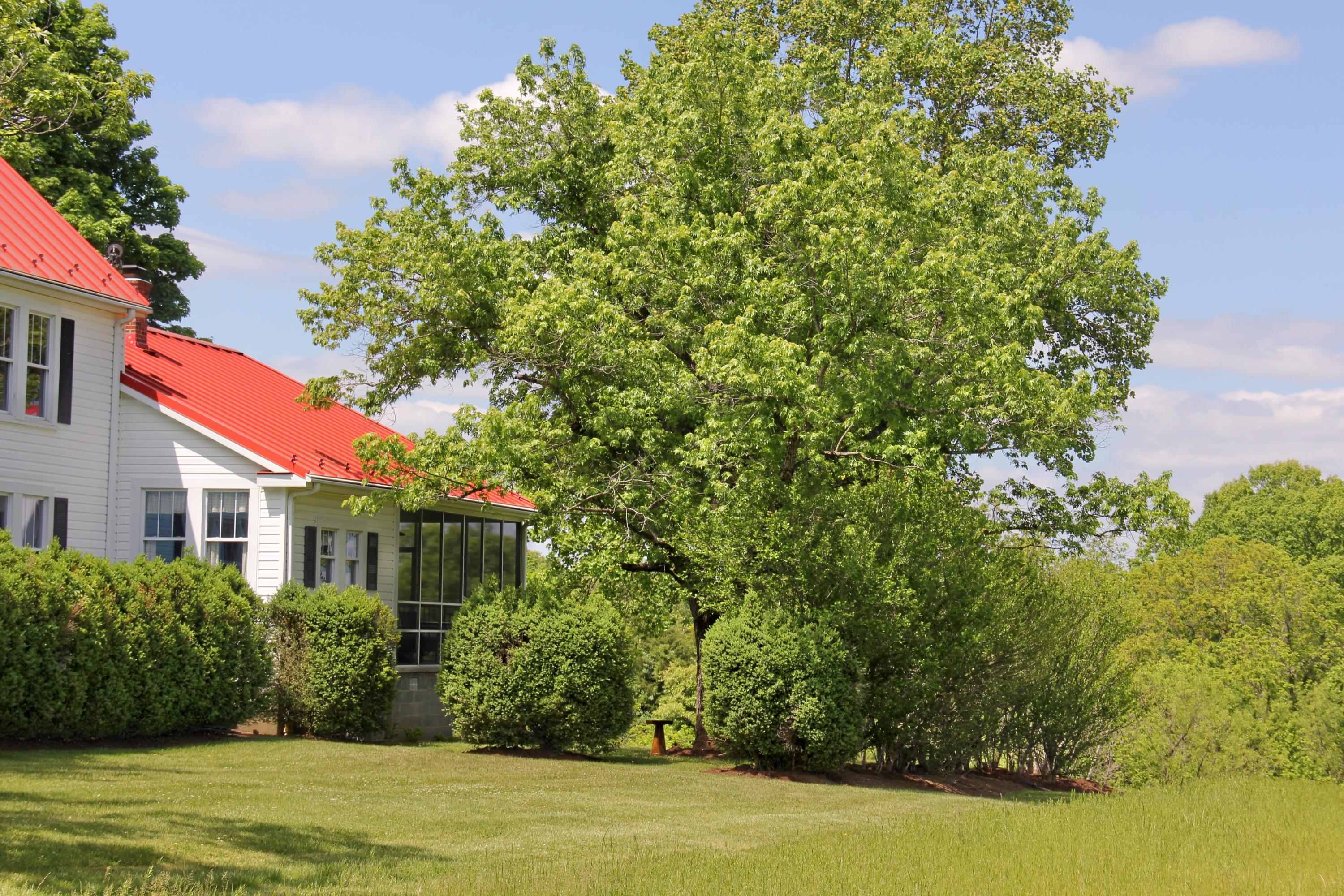 2880 Bells Mill Road Goode, VA 24556 - Photo 118 of 128 IMG_0903