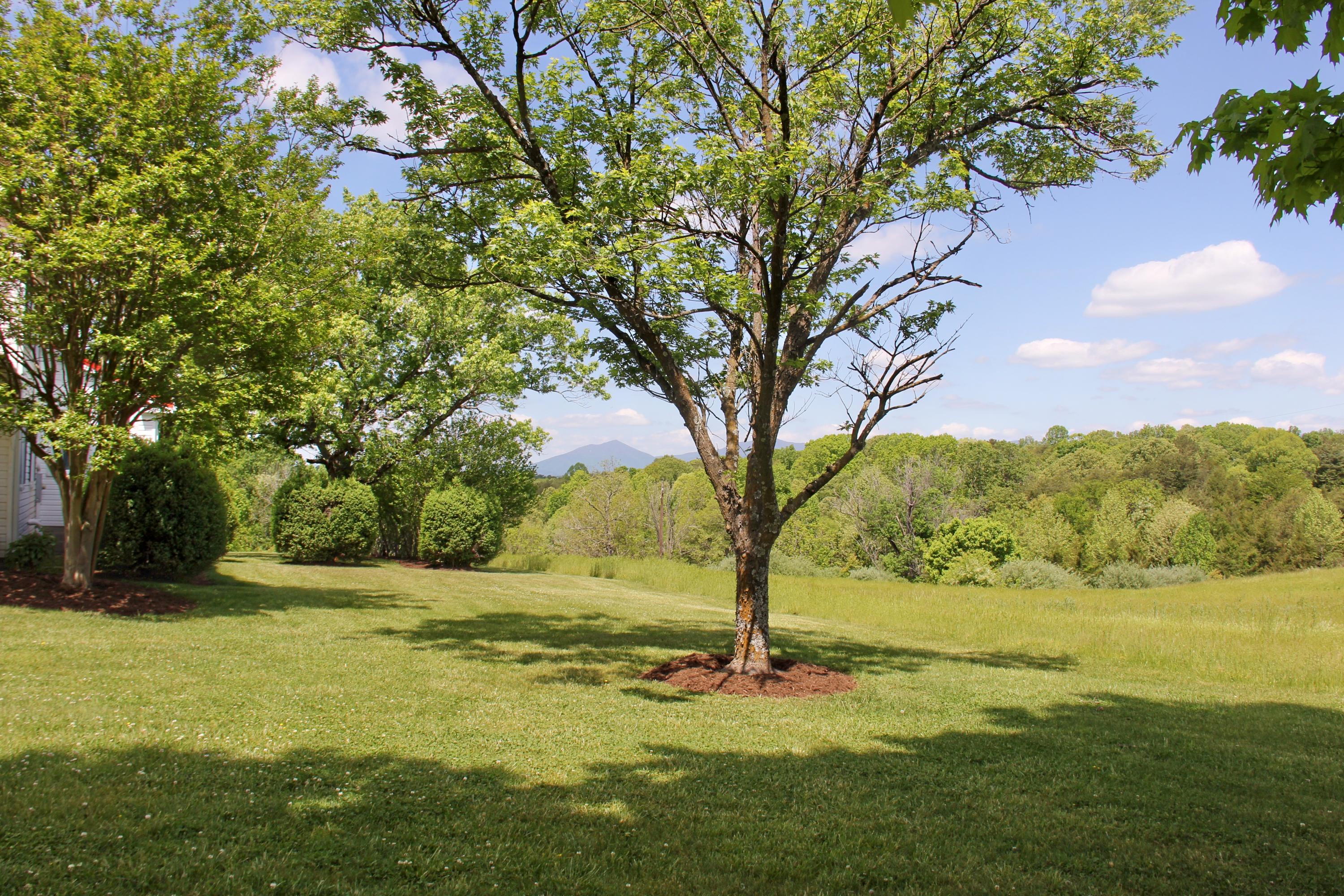 2880 Bells Mill Road Goode, VA 24556 - Photo 119 of 128 IMG_0904
