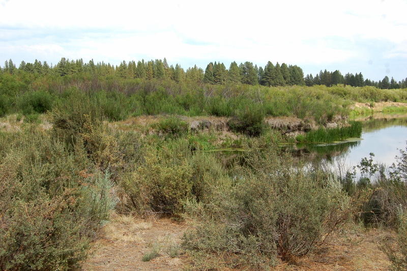 1900 Sprague River Road Chiloquin, OR 97624 - Photo 15 of 17 DSC_2233