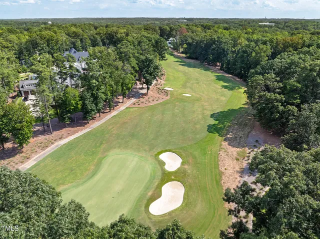 a view of a yard with plants and a trees