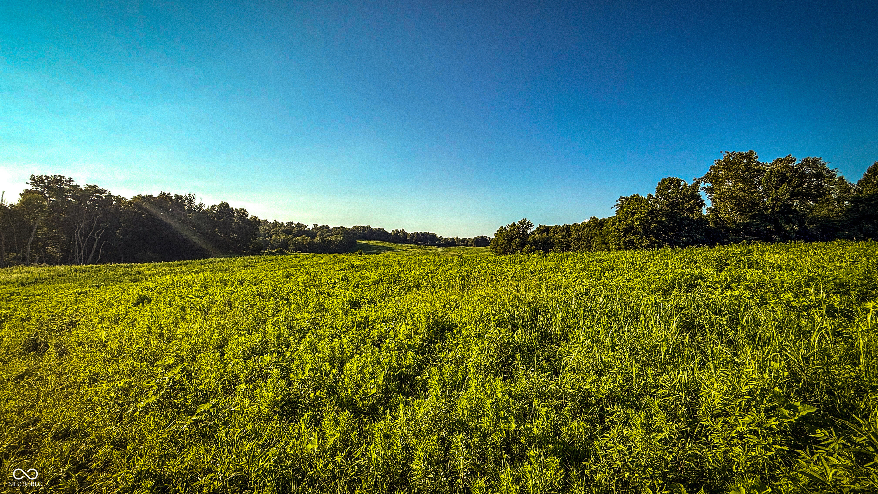 2297 West Popcorn Road Springville, IN 47462 - Photo 51 of 66 Gallery Image 51