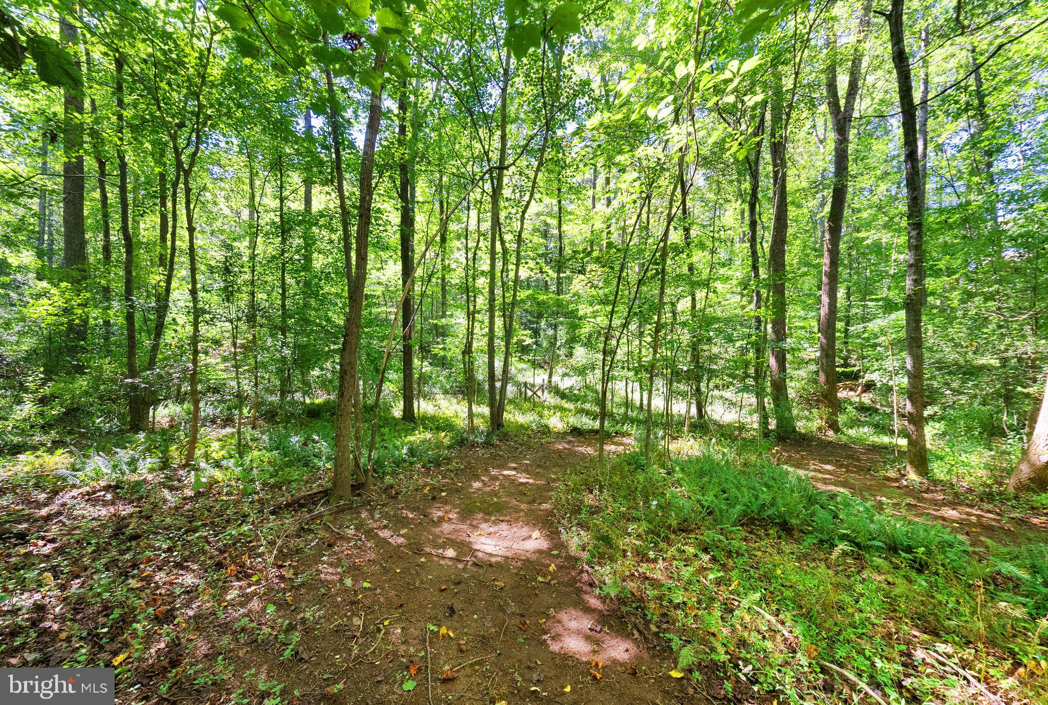 16134 Quail Ridge Drive Rixeyville, VA 22737 - Photo 62 of 73 Gallery Image 62