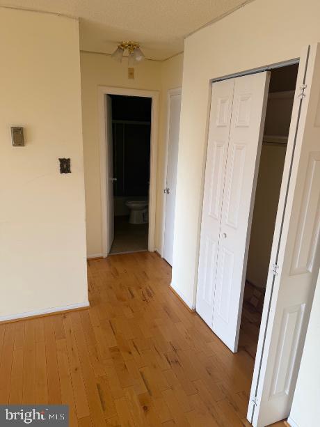 1121 University Boulevard West, Unit 1312 Silver Spring, MD 20902 - Photo 11 of 17 Bright and inviting hallway space.
