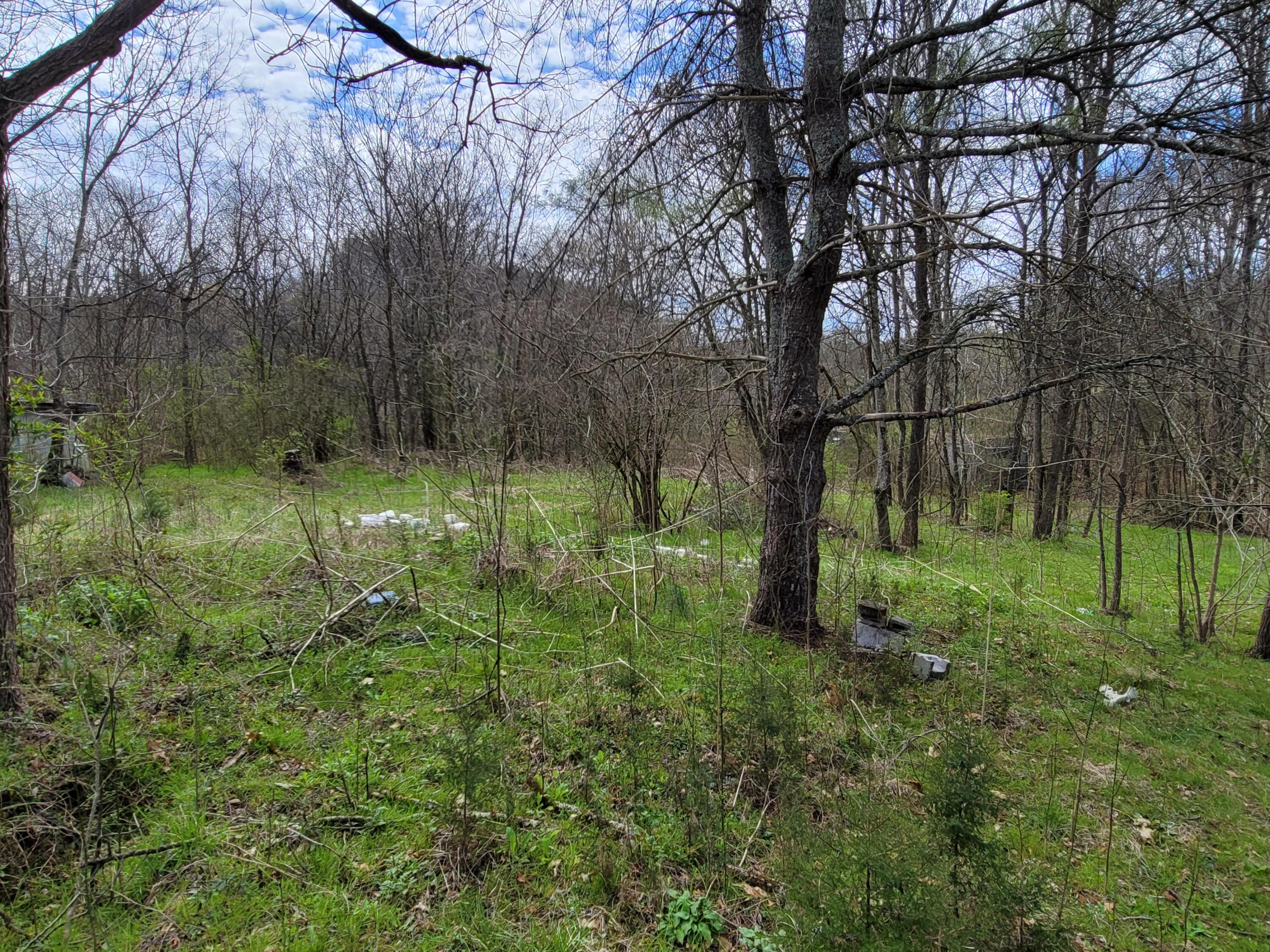 3125 Glendale Road Bybee, TN 37713 - Photo 11 of 15 20220328_134115