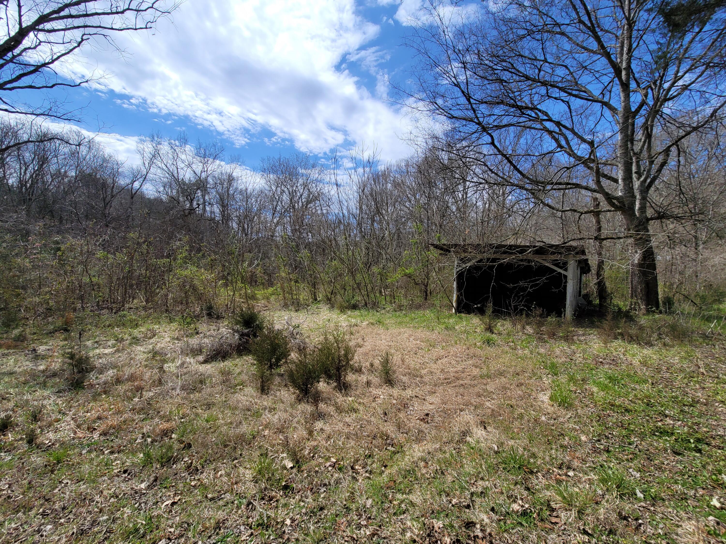 3125 Glendale Road Bybee, TN 37713 - Photo 5 of 15 20220328_135048