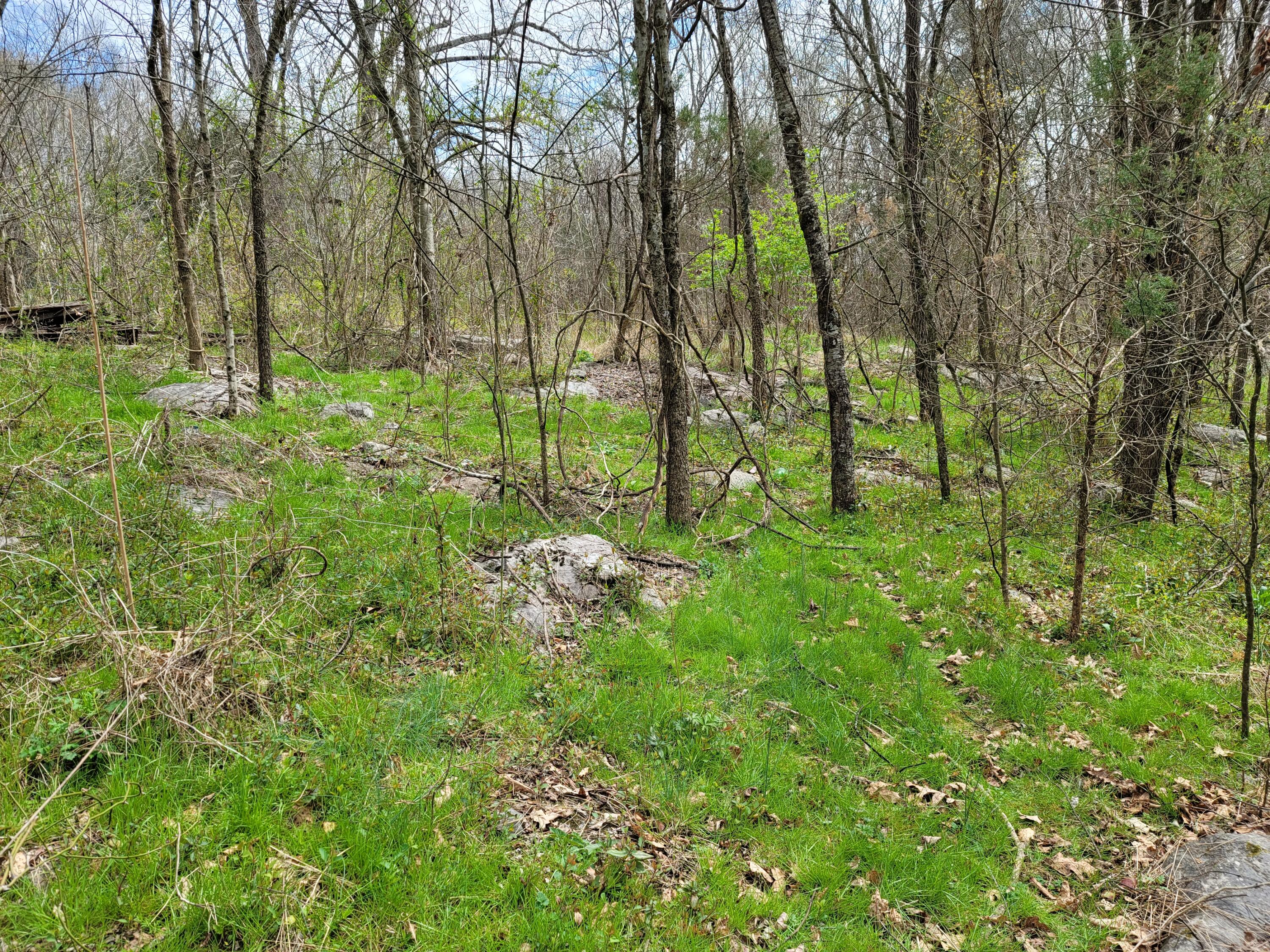 3125 Glendale Road Bybee, TN 37713 - Photo 7 of 15 20220328_134810