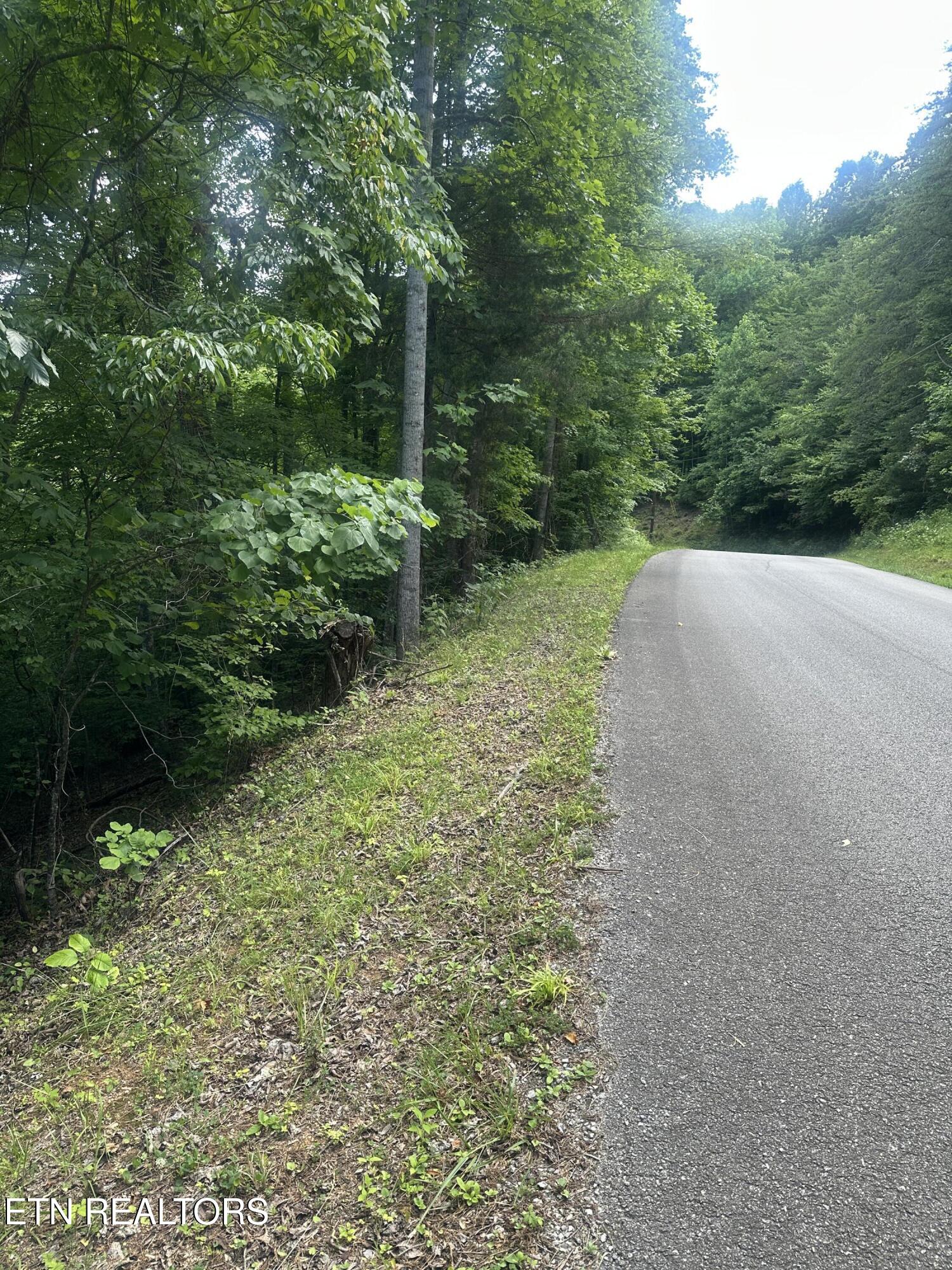 Hiwassee View Jacksboro, TN 37757 - Photo 8 of 16 jacksboro 7