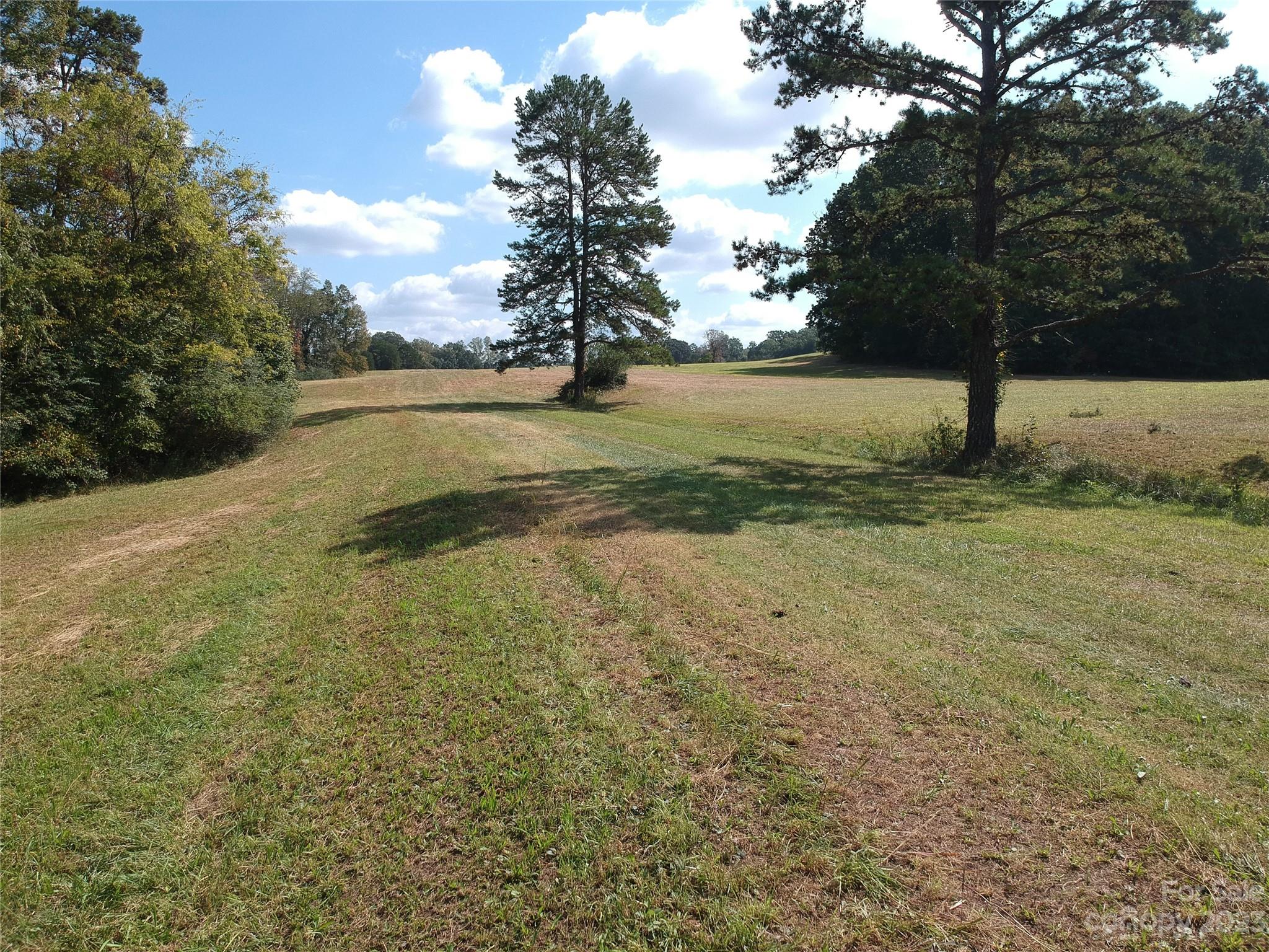 0 Ward Curry Road Lexington, NC 27292 - Photo 9 of 22 Gallery Image 9