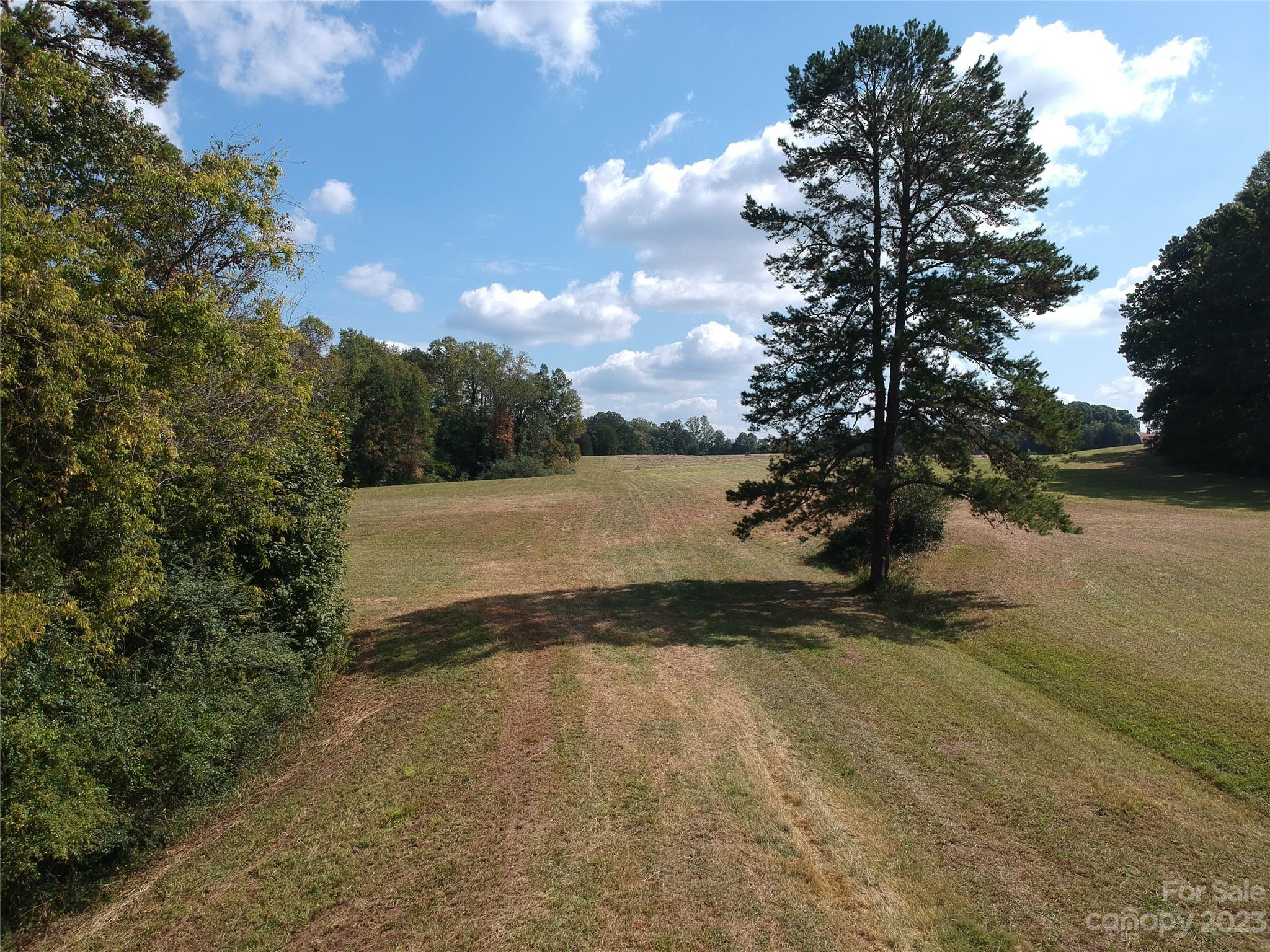 0 Ward Curry Road Lexington, NC 27292 - Photo 10 of 22 Gallery Image 10