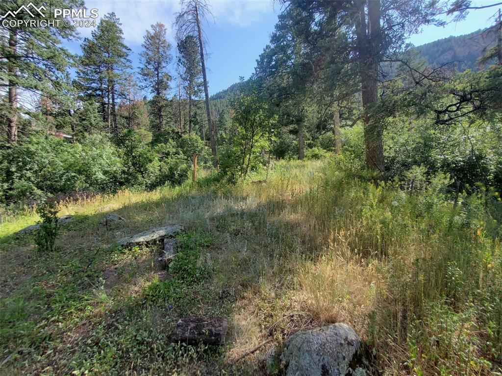 Ute Road Cascade, CO 80809 - Photo 11 of 12 a view of a lake from a forest
