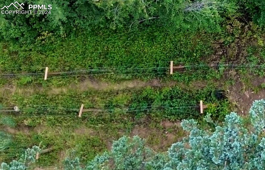 Ute Road Cascade, CO 80809 - Photo 3 of 12 a view of a green field with lots of bushes