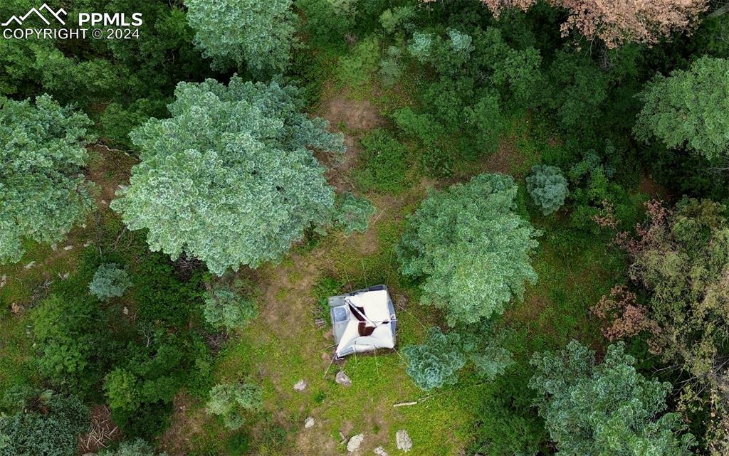 Ute Road Cascade, CO 80809 - Photo 7 of 12 an aerial view of a house with swimming pool and red outdoor space