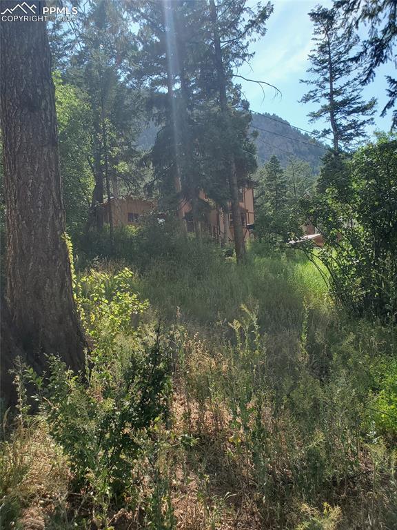Ute Road Cascade, CO 80809 - Photo 9 of 12 a view of a garden