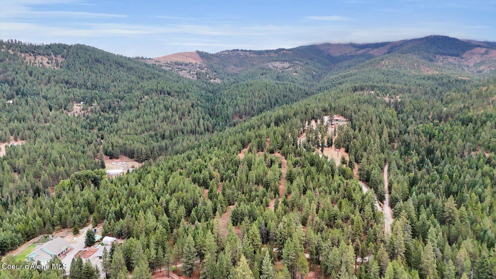 1571 Stone Road Blanchard, ID 83804 - Photo 15 of 22 21-1571 Stone Rd