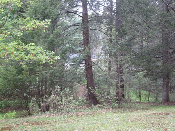 55 Woodcrest Road Boxford, MA 01921 - Photo 23 of 25