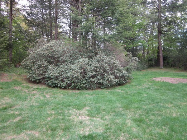 55 Woodcrest Road Boxford, MA 01921 - Photo 24 of 25