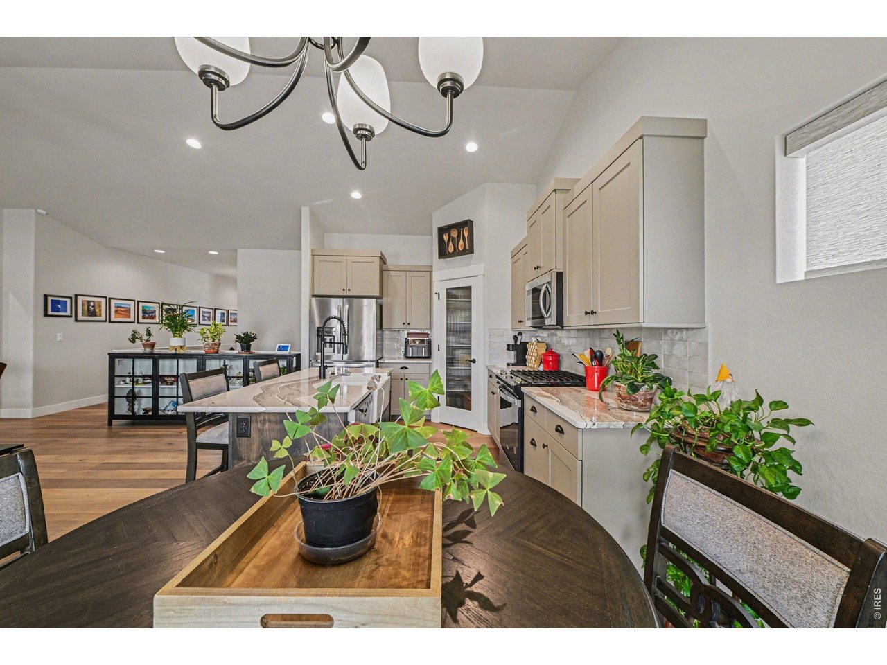 6309 2nd Street Greeley, CO 80634 - Photo 8 of 33 a living room with kitchen island furniture and a potted plant