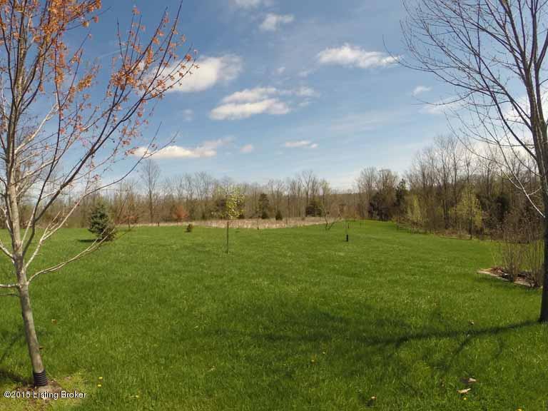 1560 Cedarmore Road Bagdad, KY 40003 - Photo 29 of 52 Additional View of Property