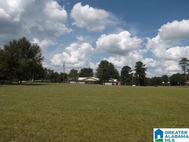 435 Wow Road, Unit 59 Blountsville, AL 35031 - Photo 39 of 49