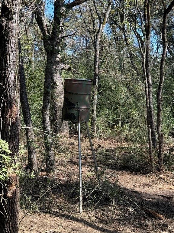 29 Co Road Rosebud, TX 76570 - Photo 11 of 13 a backyard of a house with lots of green space