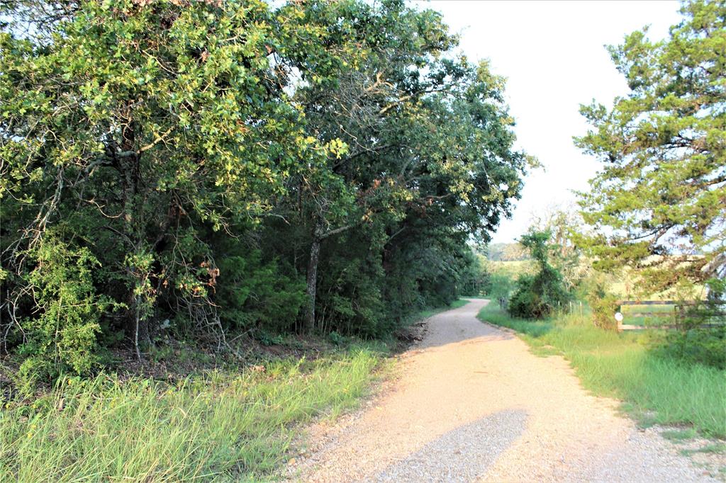 29 Co Road Rosebud, TX 76570 - Photo 13 of 13 a view of a pathway both side of yard