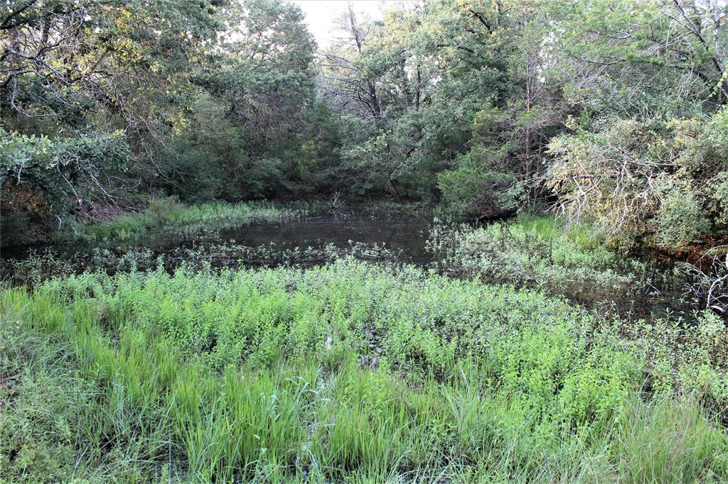 29 Co Road Rosebud, TX 76570 - Photo 4 of 13 a view of a lush green forest