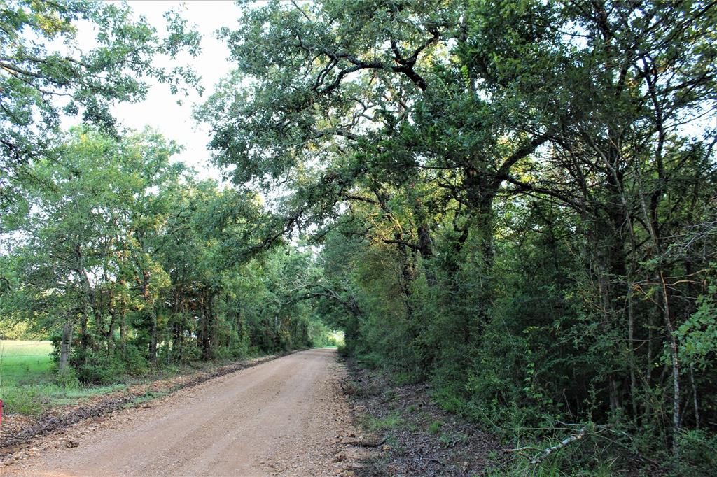 29 Co Road Rosebud, TX 76570 - Photo 5 of 13 a view of a road with a trees in the background