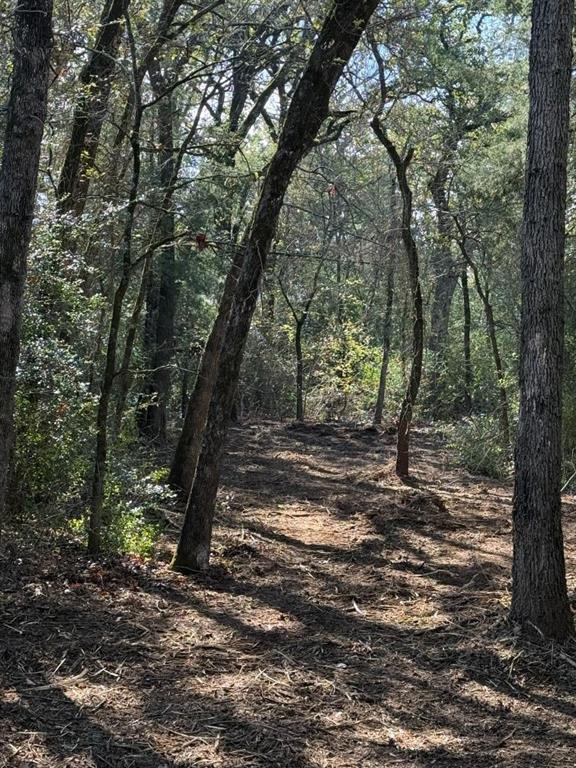 29 Co Road Rosebud, TX 76570 - Photo 9 of 13 a view of a forest with trees