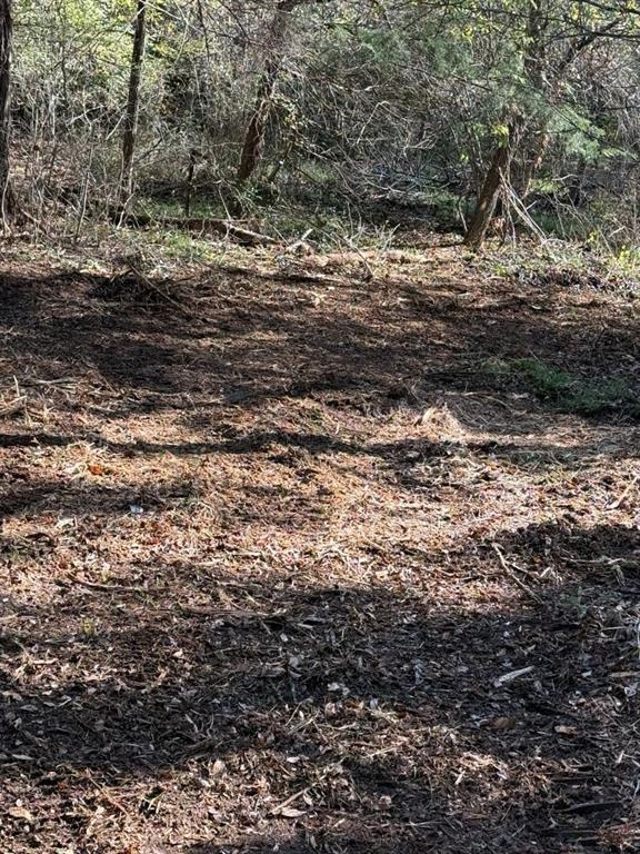 29 Co Road Rosebud, TX 76570 - Photo 10 of 13 a view of a yard with a large tree