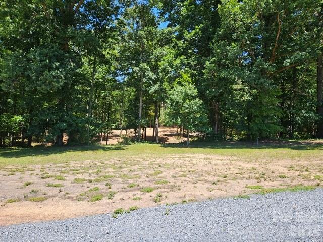 0 Millingport Road, Unit 1 Albemarle, NC 28001 - Photo 6 of 29