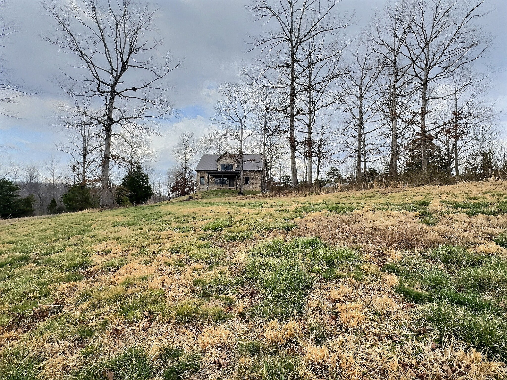7307 Brush Creek Road Fairview, TN 37062 - Photo 27 of 41 a view of a yard with large trees