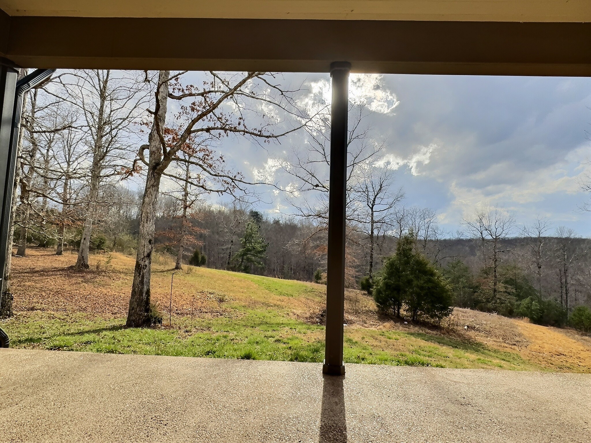 7307 Brush Creek Road Fairview, TN 37062 - Photo 31 of 41 a view of a street with a tree in front of it