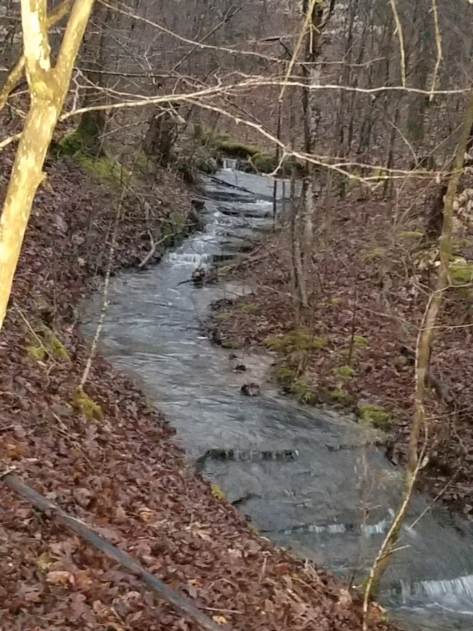 7307 Brush Creek Road Fairview, TN 37062 - Photo 34 of 41