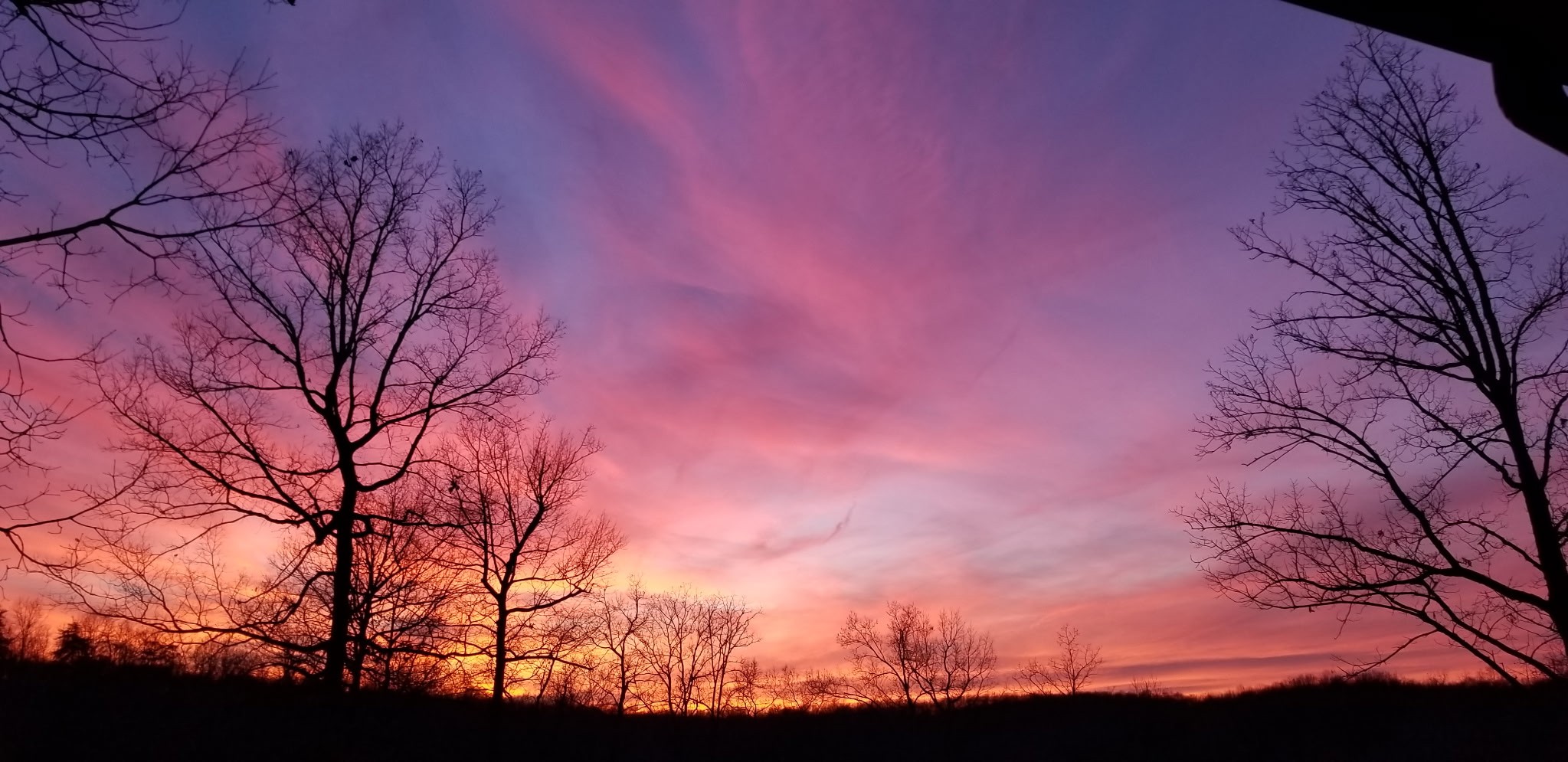 7307 Brush Creek Road Fairview, TN 37062 - Photo 35 of 41 a view of a covered with snow