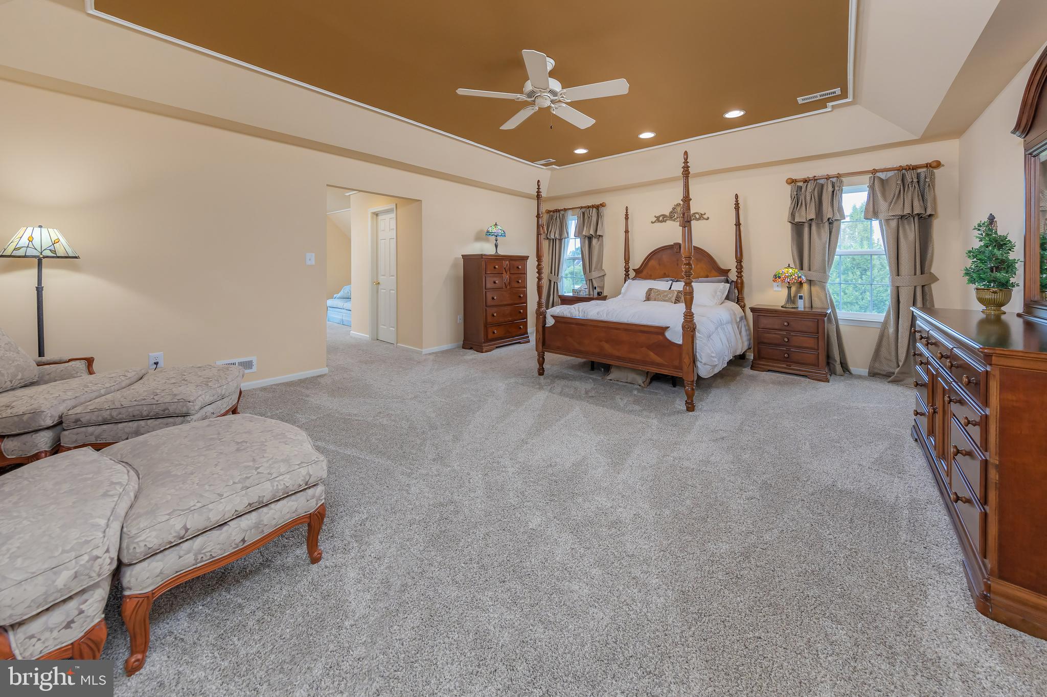 116 Tammy Lane Mickleton, NJ 08056 - Photo 26 of 66 Primary bedroom with tray ceiling and TWO walkins